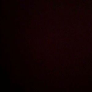 Meet your Posher, Haylee